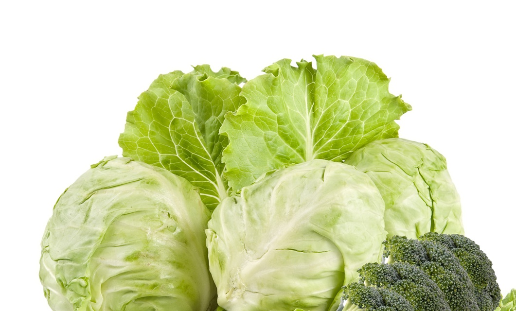 Vitamin K Vitamin K